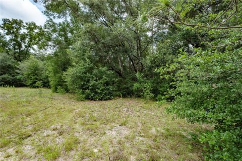 Terreno en venta en Morriston, Florida № 2166966 - foto 11