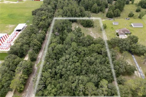 Terreno en venta en Morriston, Florida № 2166966 - foto 7