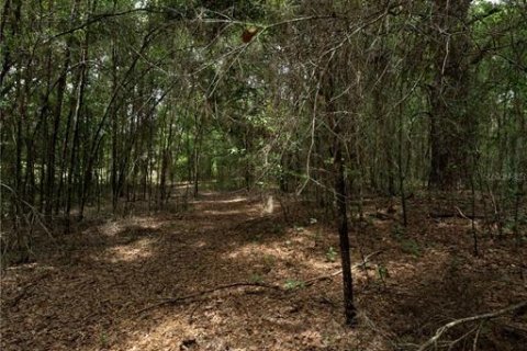 Terreno en venta en Morriston, Florida № 2166966 - foto 10