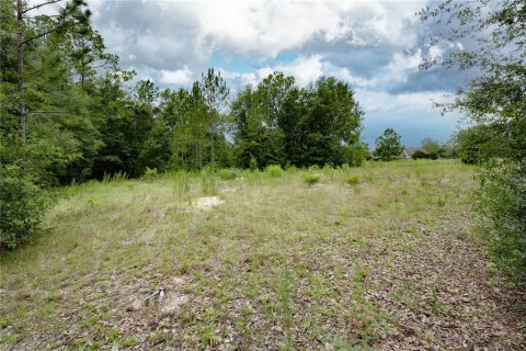 Terreno en venta en Morriston, Florida № 2166966 - foto 6