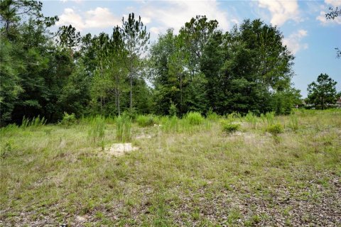 Terreno en venta en Morriston, Florida № 2166966 - foto 5