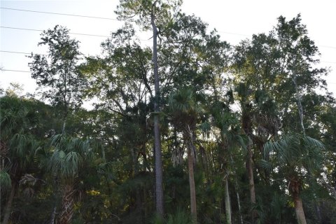 Land in Hilliard, Florida № 2371370 - photo 8