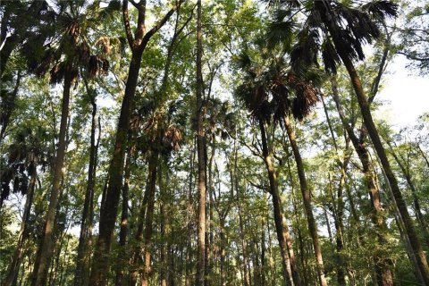Land in Hilliard, Florida № 2371370 - photo 19