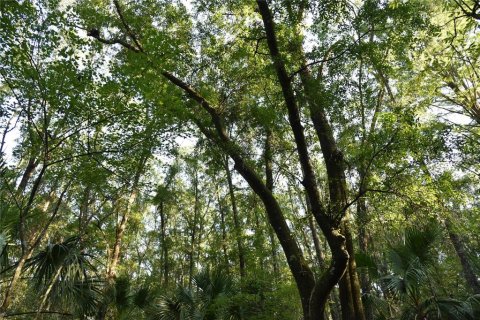 Land in Hilliard, Florida № 2371370 - photo 14