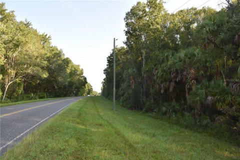Land in Hilliard, Florida № 2371370 - photo 7