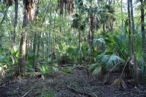 Land in Hilliard, Florida № 2371370 - photo 12