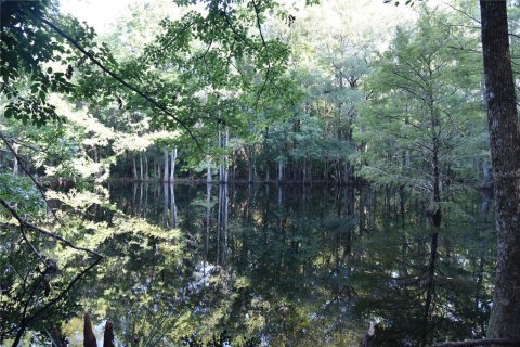 Land in Hilliard, Florida № 2371370 - photo 28