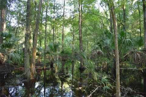 Land in Hilliard, Florida № 2371370 - photo 24