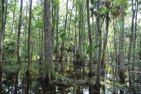 Land in Hilliard, Florida № 2371370 - photo 25