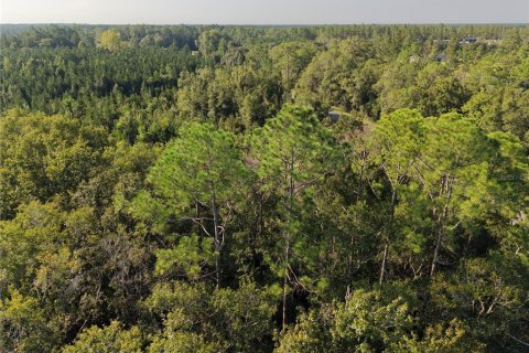 Land in Hilliard, Florida № 2371370 - photo 3