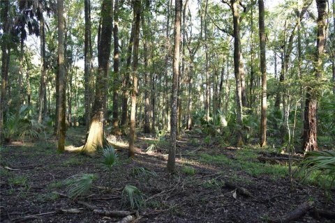 Land in Hilliard, Florida № 2371370 - photo 18