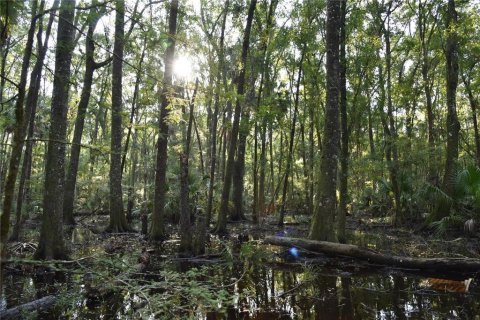 Land in Hilliard, Florida № 2371370 - photo 26