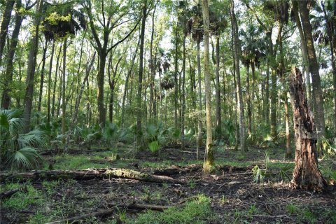 Land in Hilliard, Florida № 2371370 - photo 22