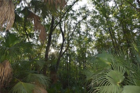Land in Hilliard, Florida № 2371370 - photo 15