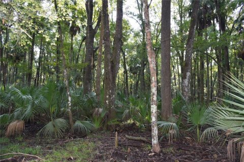 Land in Hilliard, Florida № 2371370 - photo 20