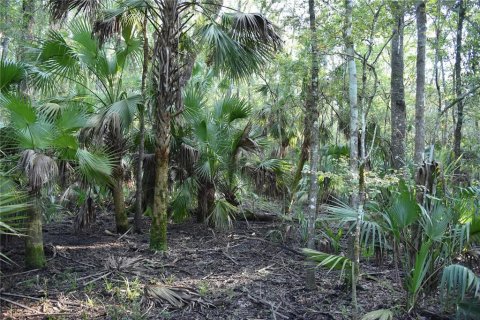 Land in Hilliard, Florida № 2371370 - photo 10