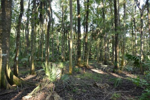 Land in Hilliard, Florida № 2371370 - photo 21