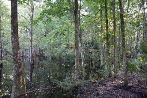 Land in Hilliard, Florida № 2371370 - photo 27