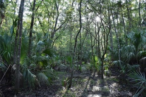 Land in Hilliard, Florida № 2371370 - photo 13