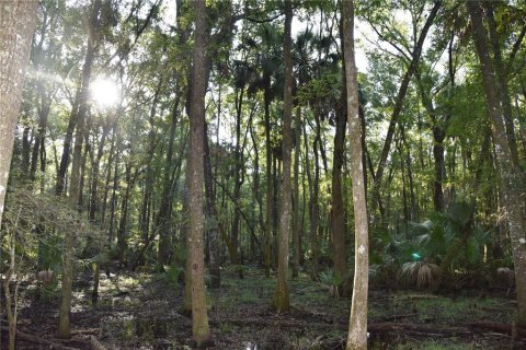 Land in Hilliard, Florida № 2371370 - photo 23