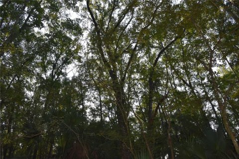 Land in Hilliard, Florida № 2371370 - photo 11