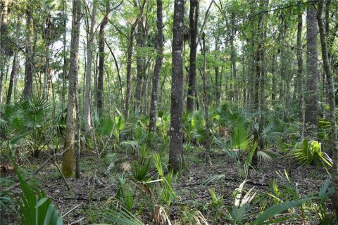 Land in Hilliard, Florida № 2371370 - photo 16