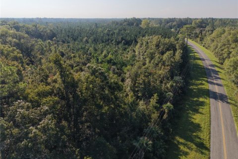Land in Hilliard, Florida № 2371370 - photo 2