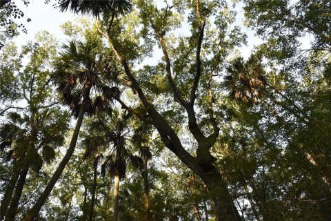 Land in Hilliard, Florida № 2371370
