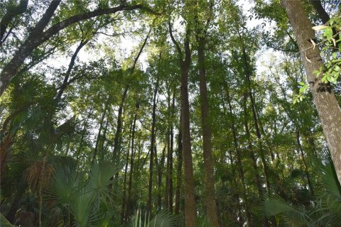 Land in Hilliard, Florida № 2371370 - photo 17