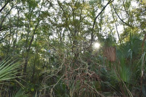 Land in Hilliard, Florida № 2371370 - photo 9