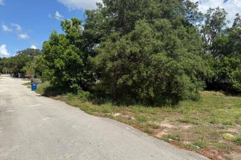 Land in Sebring, Florida № 2159128 - photo 3