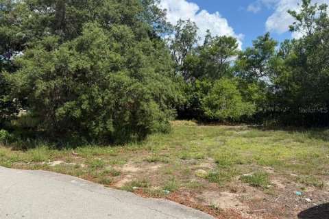 Land in Sebring, Florida № 2159128 - photo 4