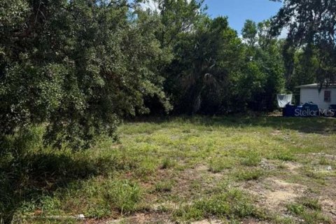 Land in Sebring, Florida № 2159128 - photo 2