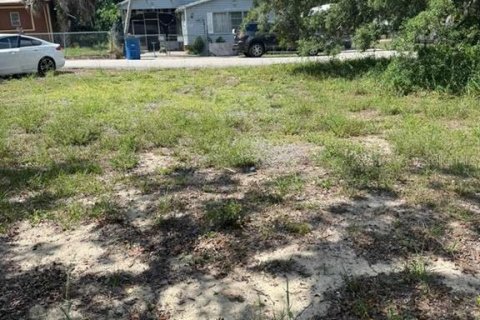 Land in Sebring, Florida № 2159128 - photo 6