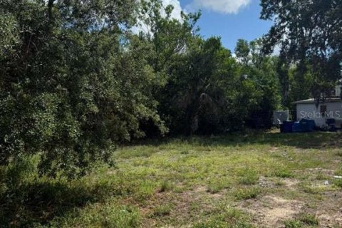 Land in Sebring, Florida № 2159128 - photo 7