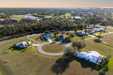 Land in Punta Gorda, Florida № 1562599 - photo 9