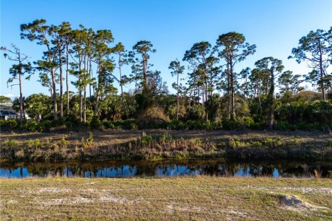 Land in Punta Gorda, Florida № 1562599 - photo 10