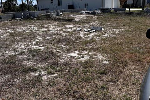Land in Rotonda, Florida № 1647895 - photo 4