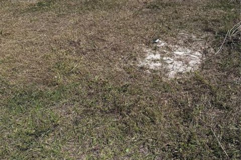 Land in Rotonda, Florida № 1647895 - photo 5