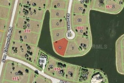 Villa ou maison à vendre à Punta Gorda, Floride: 3 chambres, 199.46 m2 № 2205958 - photo 5