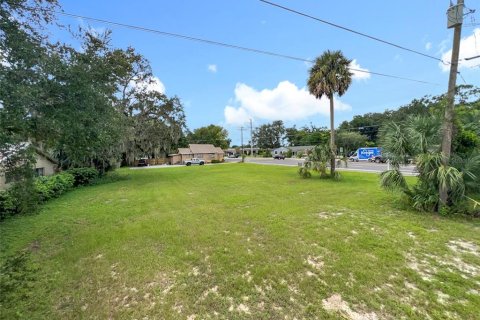 Land in Sanford, Florida № 1913934 - photo 10