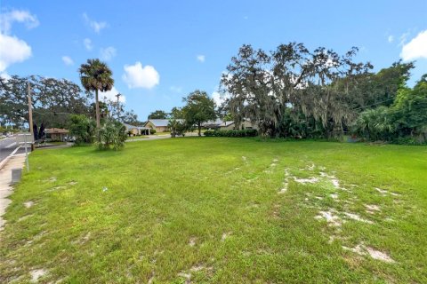 Land in Sanford, Florida № 1913934 - photo 8