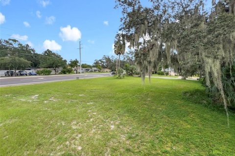 Land in Sanford, Florida № 1913934 - photo 9