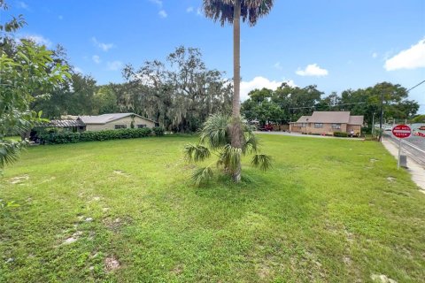 Land in Sanford, Florida № 1913934 - photo 7