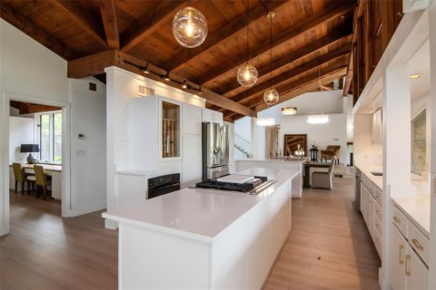 Villa ou maison à vendre à Dunedin, Floride: 4 chambres, 342.34 m2 № 2232519 - photo 10