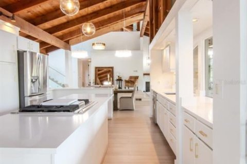 Villa ou maison à vendre à Dunedin, Floride: 4 chambres, 342.34 m2 № 2232519 - photo 14