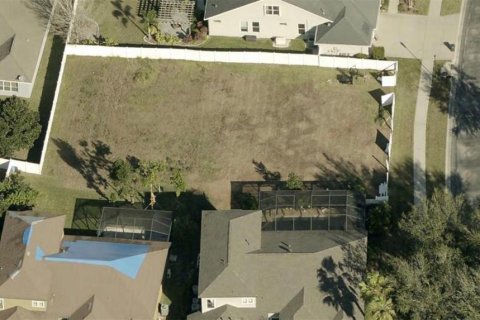 Land in Brandon, Florida № 2218523 - photo 2