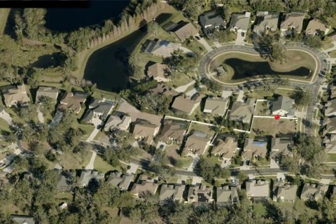 Land in Brandon, Florida № 2218523 - photo 3