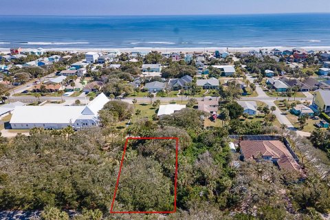 Terreno en venta en Flagler Beach, Florida № 1903933 - foto 2
