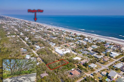 Terreno en venta en Flagler Beach, Florida № 1903933 - foto 1